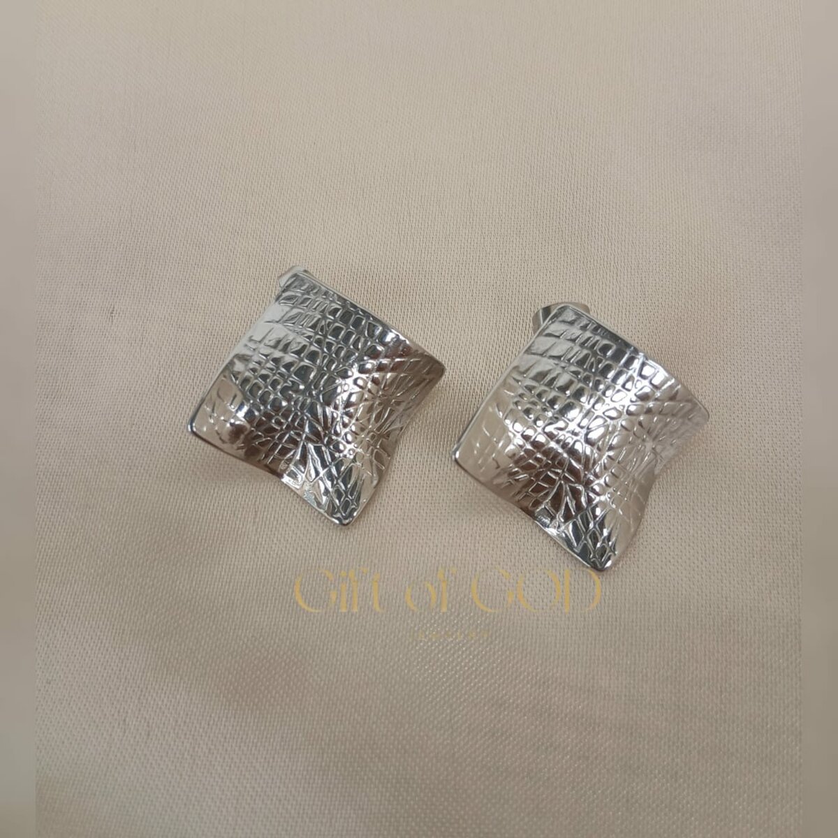 Boucles d'oreilles argentées