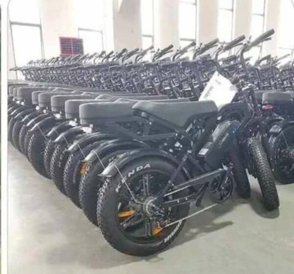 Vélo électrique tout-terrain robuste
