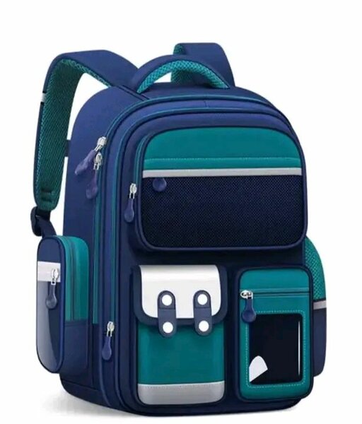 Sacs au dos