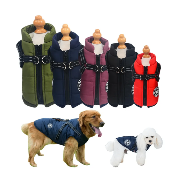 PawStyle pour Chien