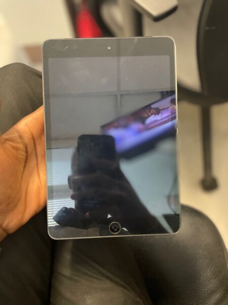 iPad mini2
