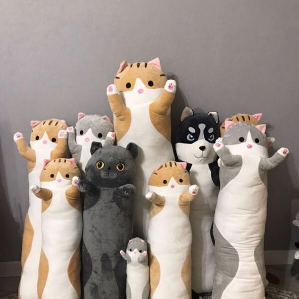 Кот батон