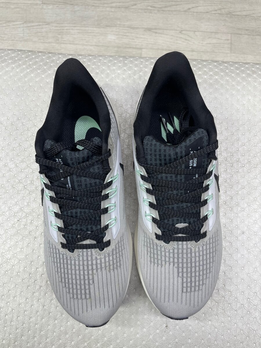 Nike pegasus39