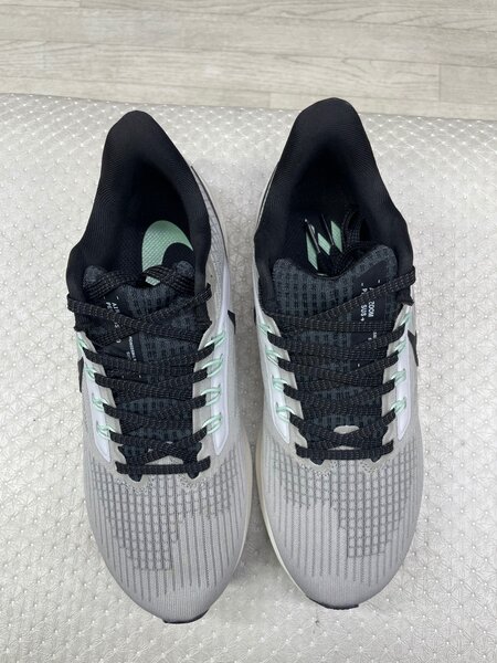 Nike pegasus39