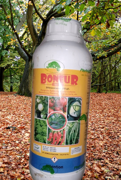 BONHEUR 250