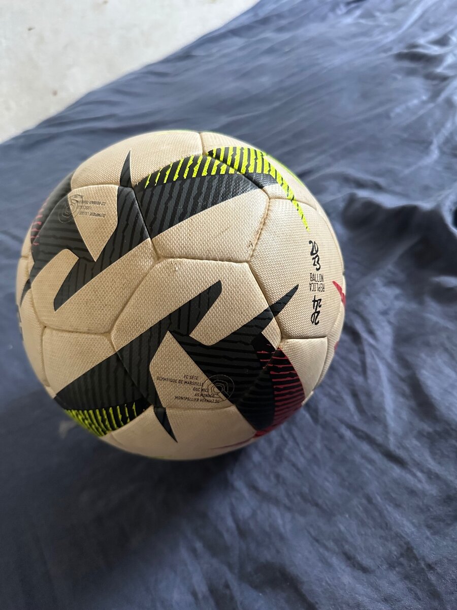 Ballon de foot ligue 1 original