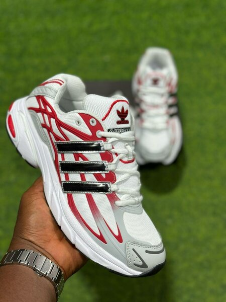 Magnifique chaussure