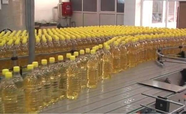 Sunflower Oils