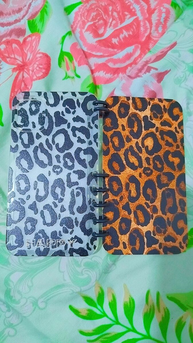 Carnet mignon Hello Kitty