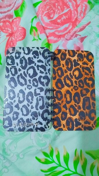 Carnet mignon Hello Kitty