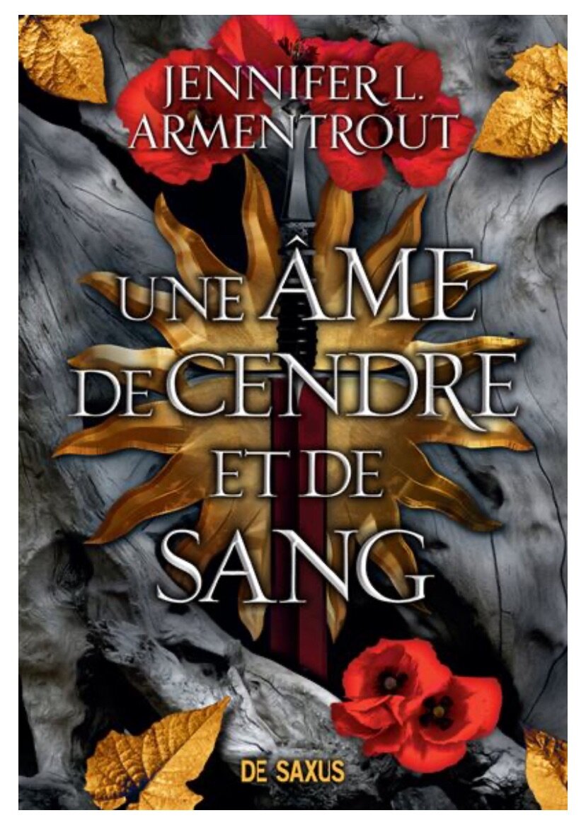 Le Sang Et La Cendre -Tome 5 : Une âme de cendre et de sang