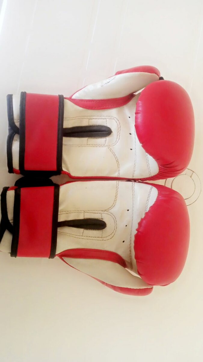 Fight Gear