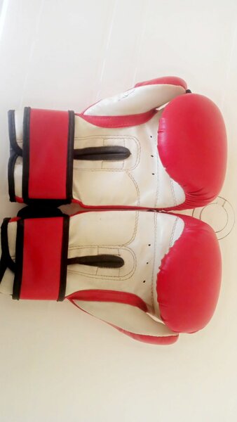 Fight Gear