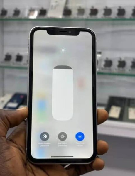 iPhone 13 Pro Max Blanc 128Go