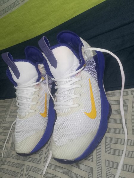 LeBron witness IV