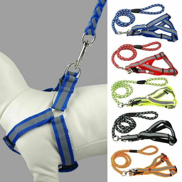 Harnais et laisse pour chien