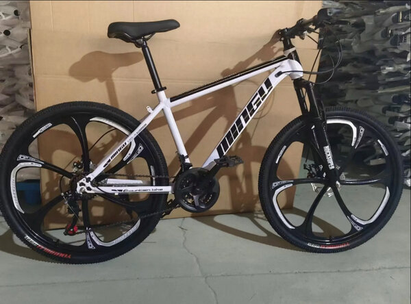 Vélo de montagne robuste