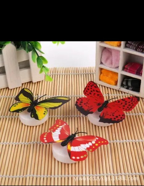 Papillon lumineux