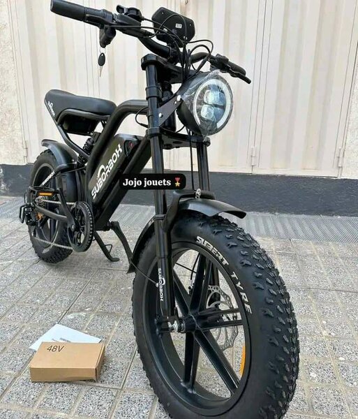 Vélo électrique tout-terrain 48V
