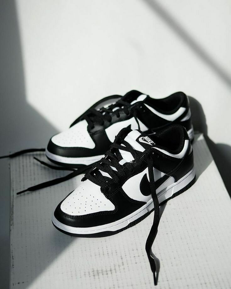 SB Dunks