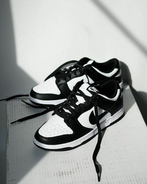 SB Dunks
