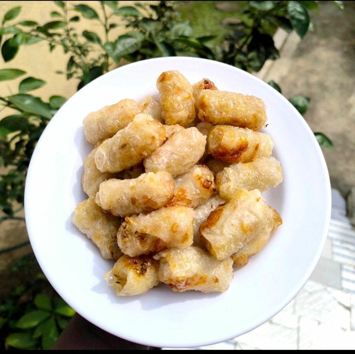 Nem poulet