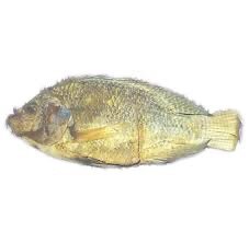 Koobi
