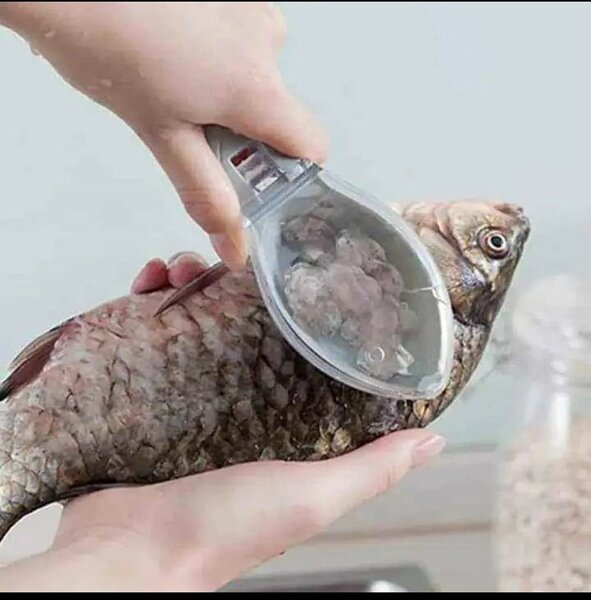 GRATTOIR À POISSON
