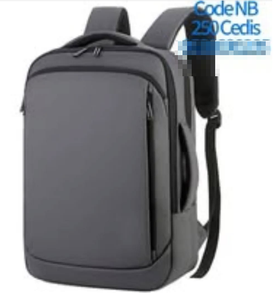 backpack gray