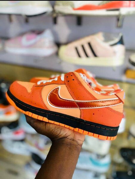 Nike sb dunks