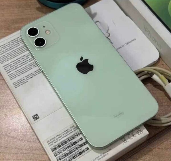 iPhone 11 Vert 128 Go