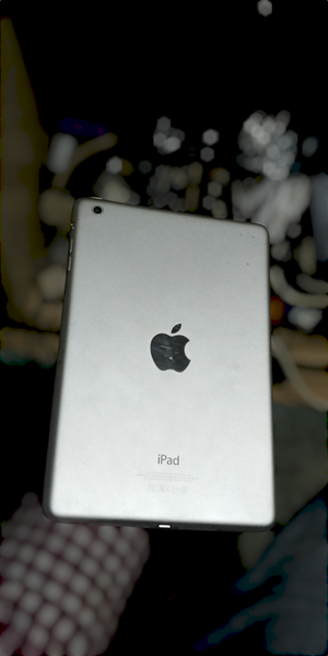 iPad Mini