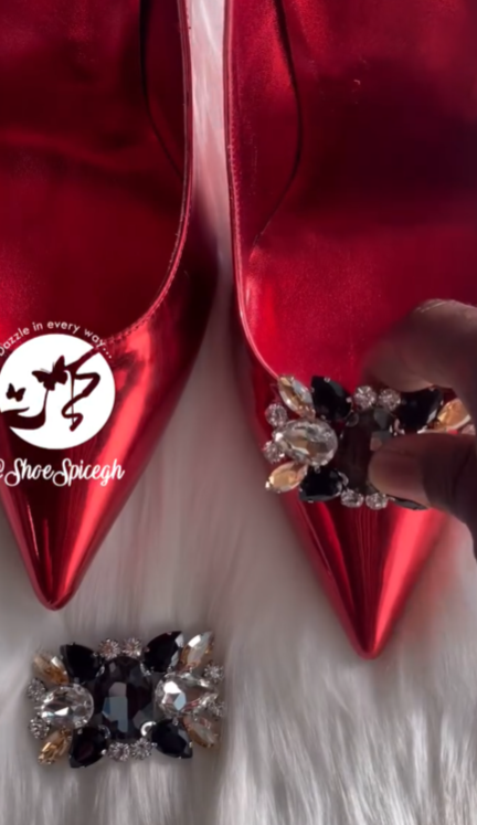Shoe clip