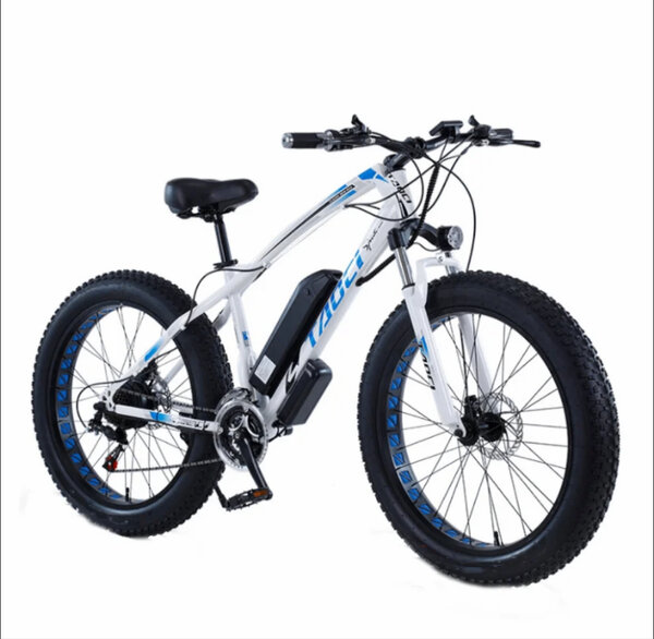 Vélo électrique tout-terrain