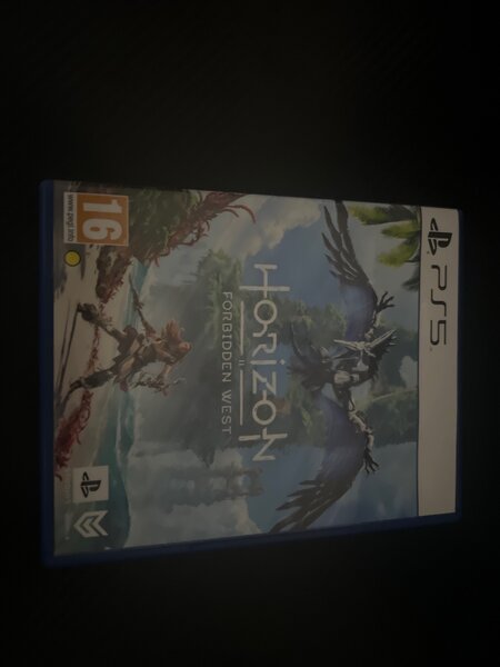 Horizon forbiden