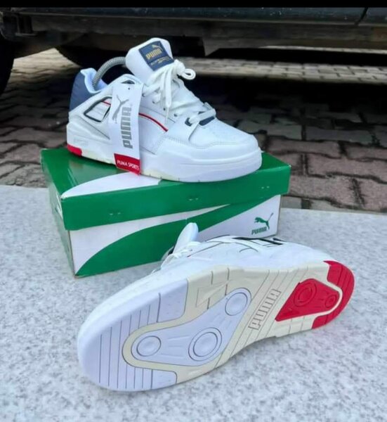 Basket puma