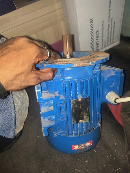 electronic motor