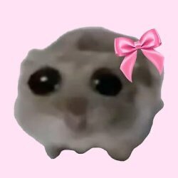 Sad1 hamster