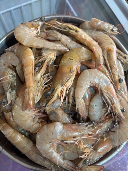 Peeled Shrimps