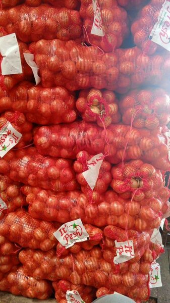Onion white dry