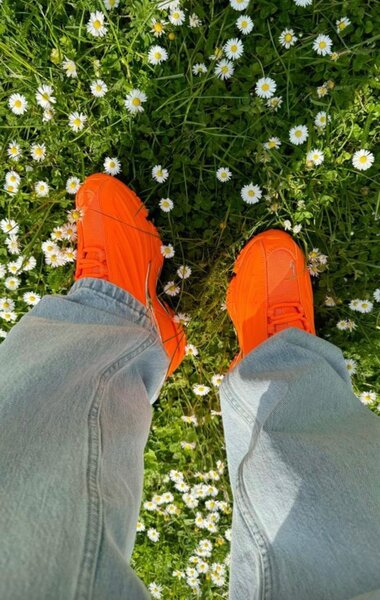 Nocta shoe