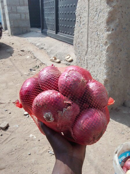 Onions