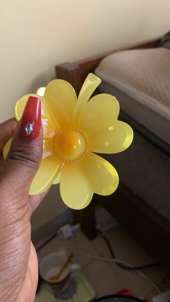 Hair clips