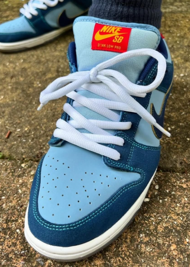 sb nike