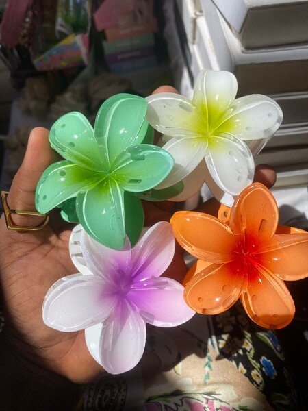 Claw clips