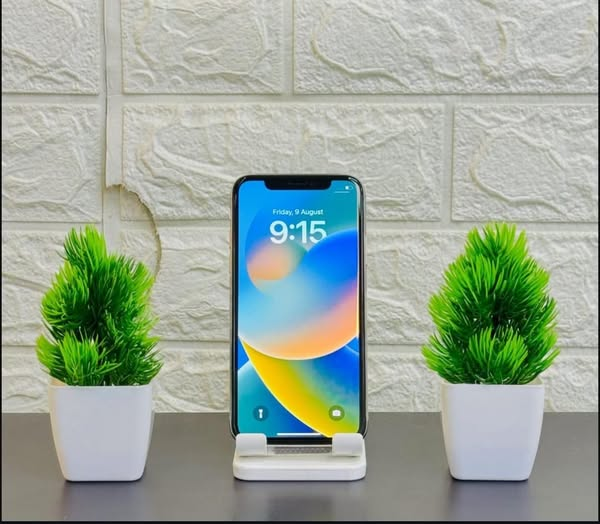 Apple iPhone X