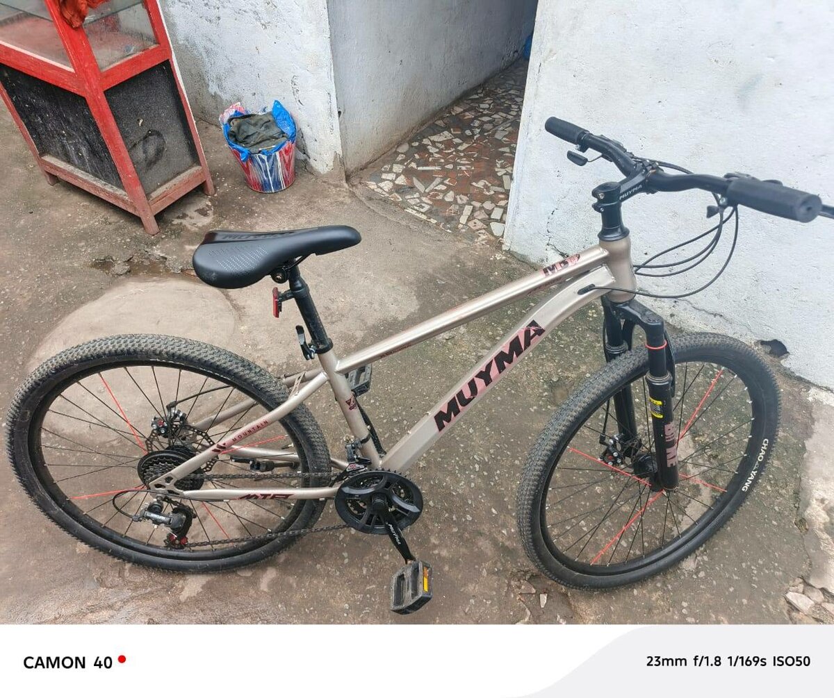 Vélo tout terrain performant