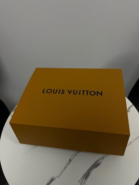 Сумка LV