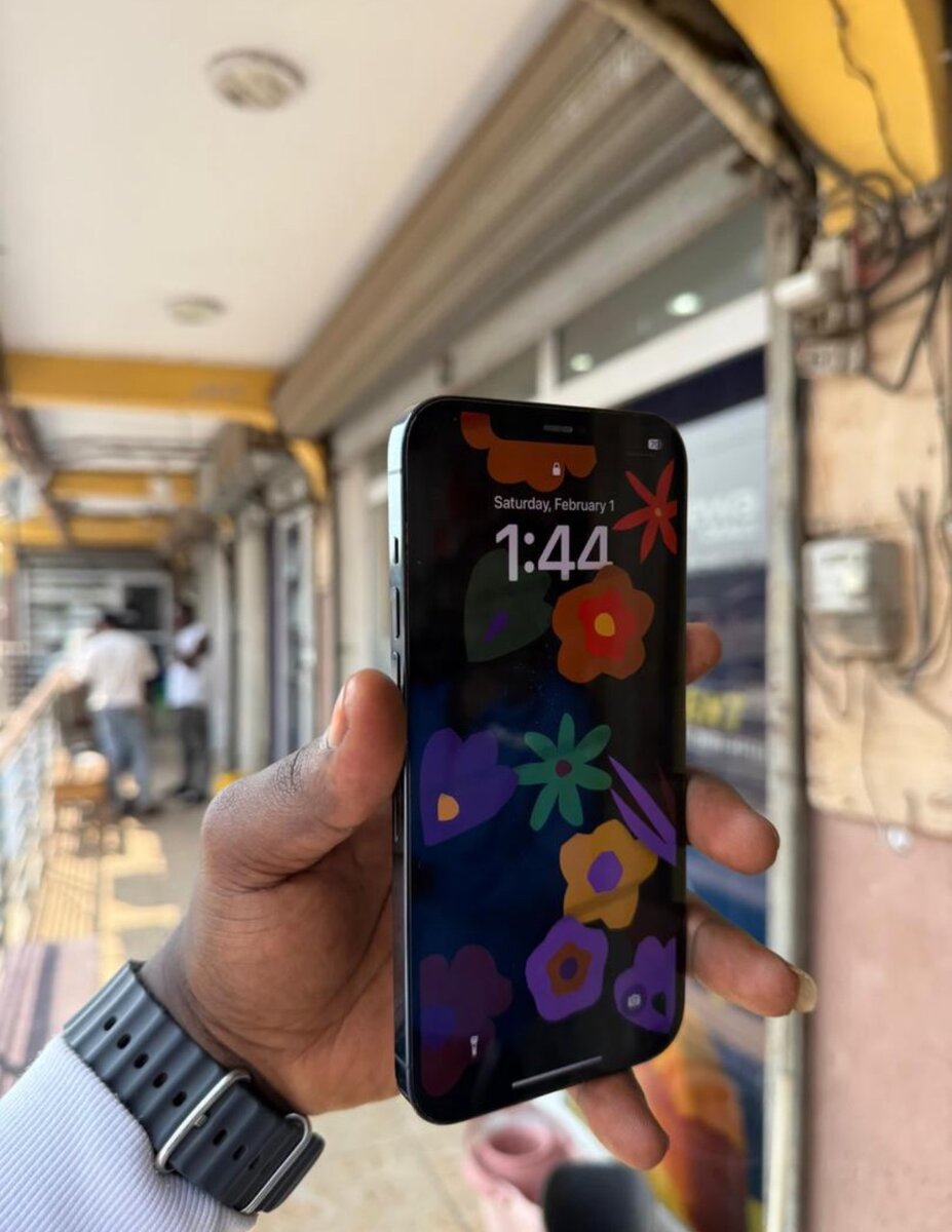 12 pro max 256gig