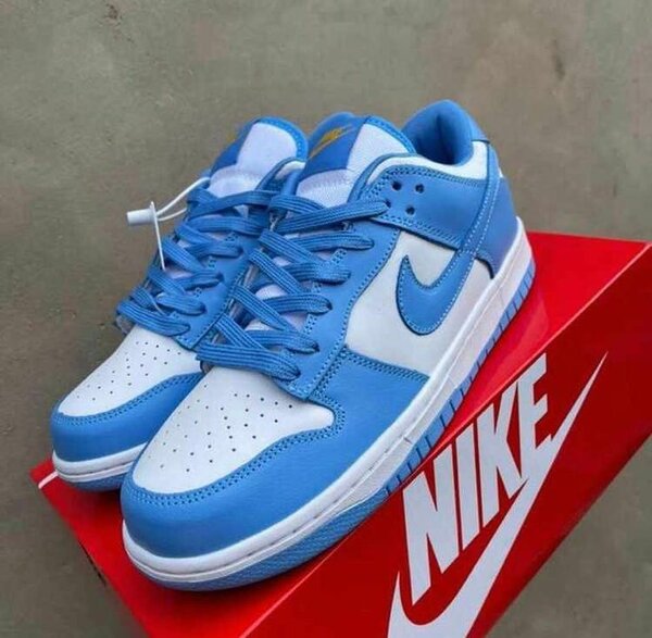 Jordan 1 SB Dunk